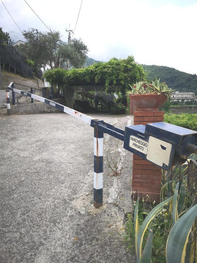 Casa Dima Villa ตรามอนติ ภายนอก รูปภาพ